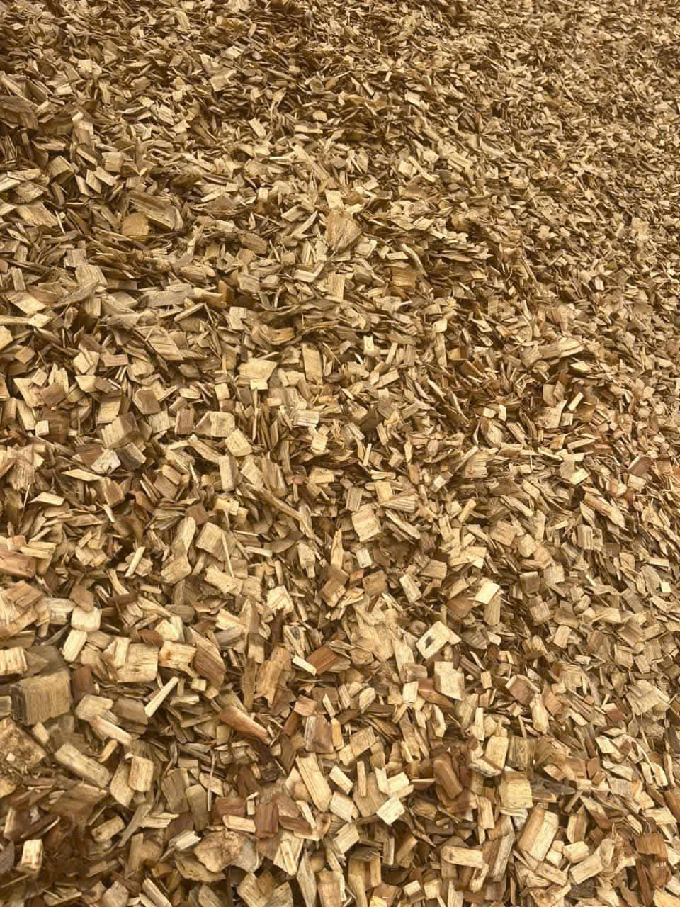 WOOD CHIPS