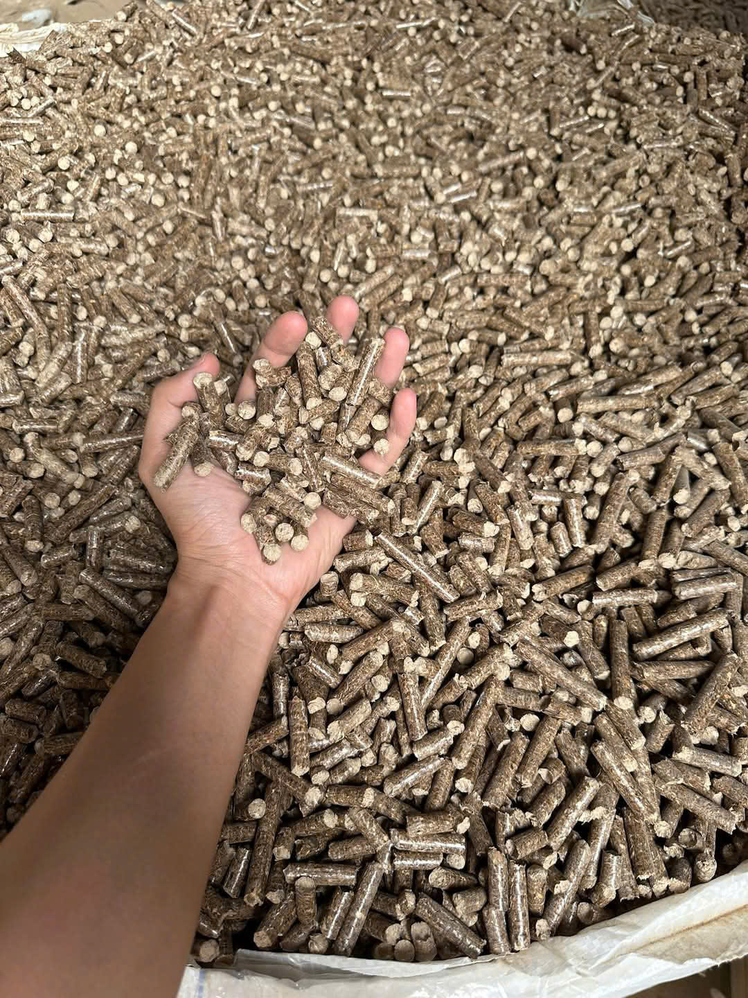 SAWDUST PELLETS/PELLETS/WOOD PELLETS/WOODEN PELLETS