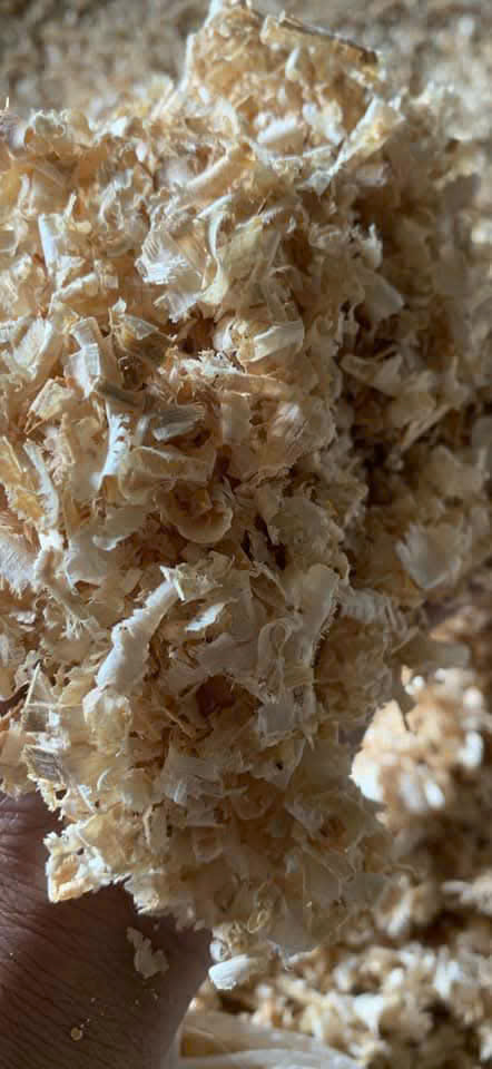WOOD SHAVINGS