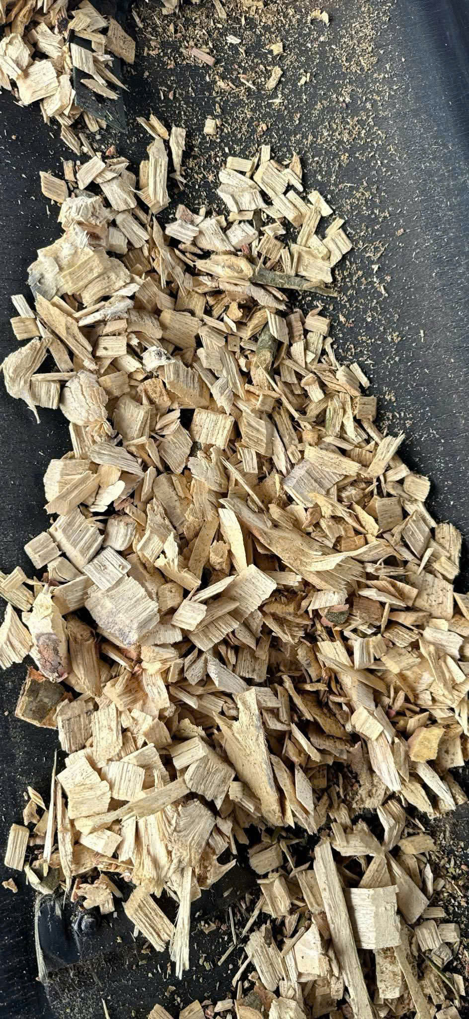 WOOD CHIPS