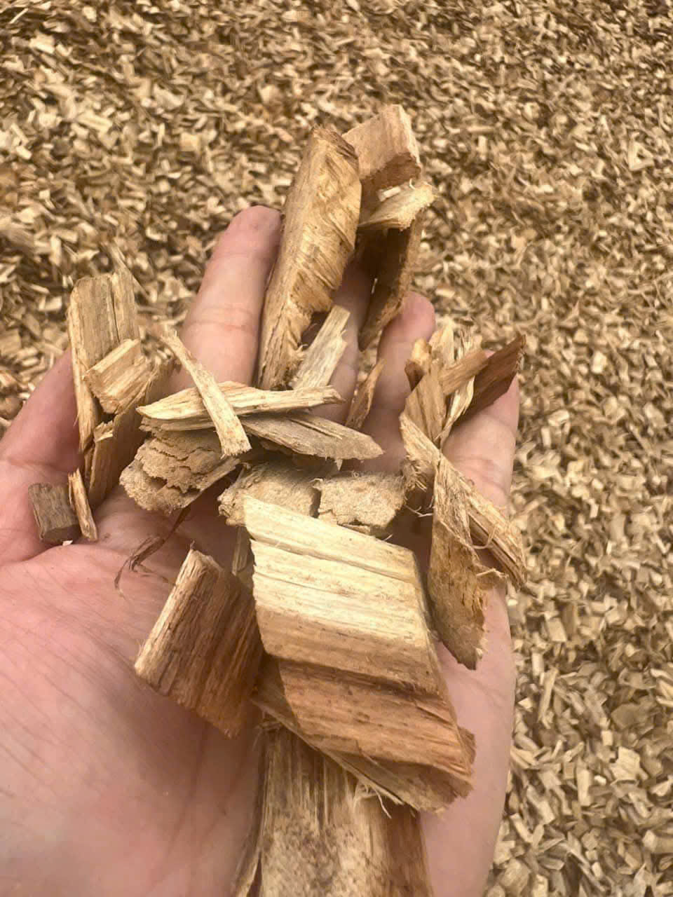 WOOD CHIPS