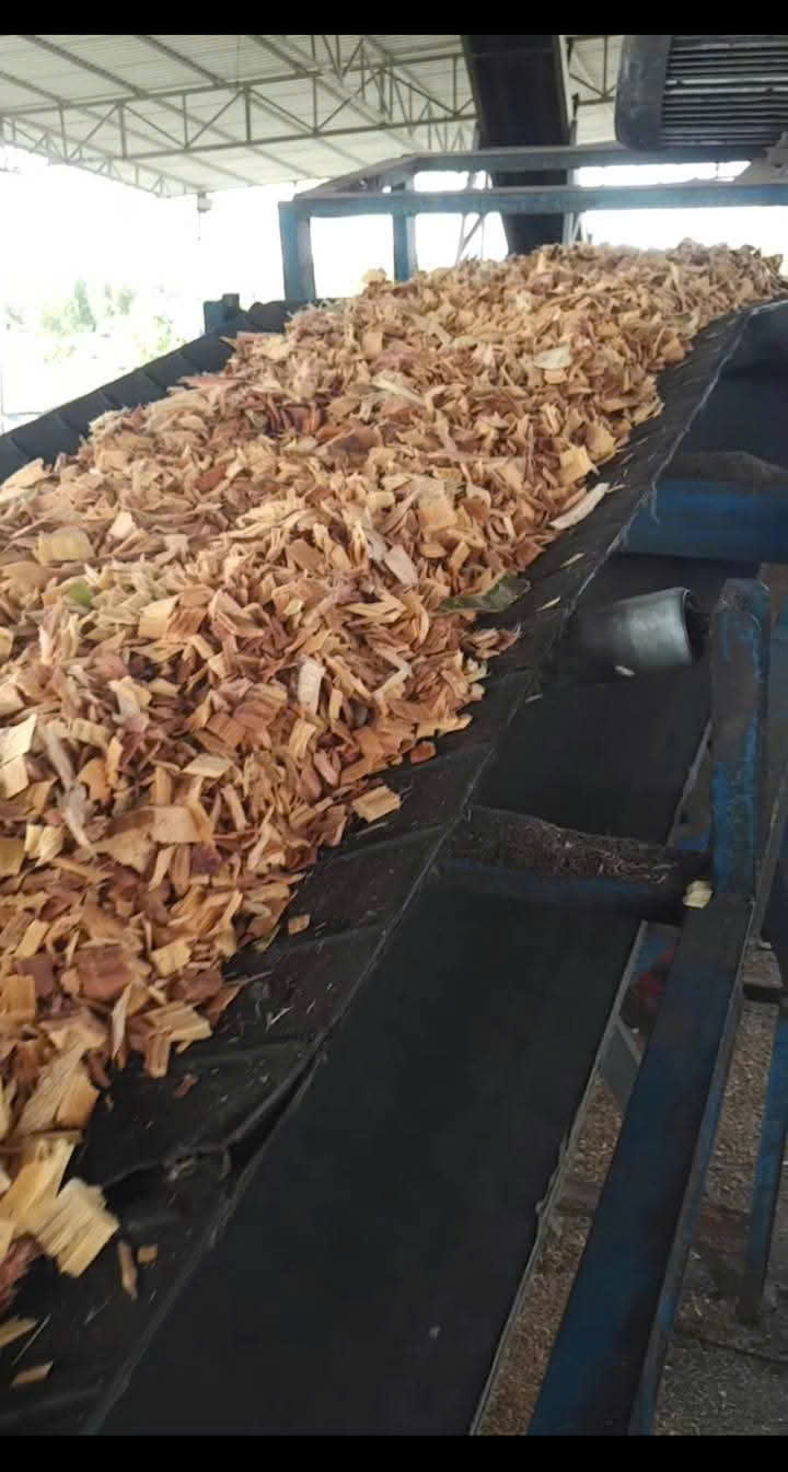 WOOD CHIPS