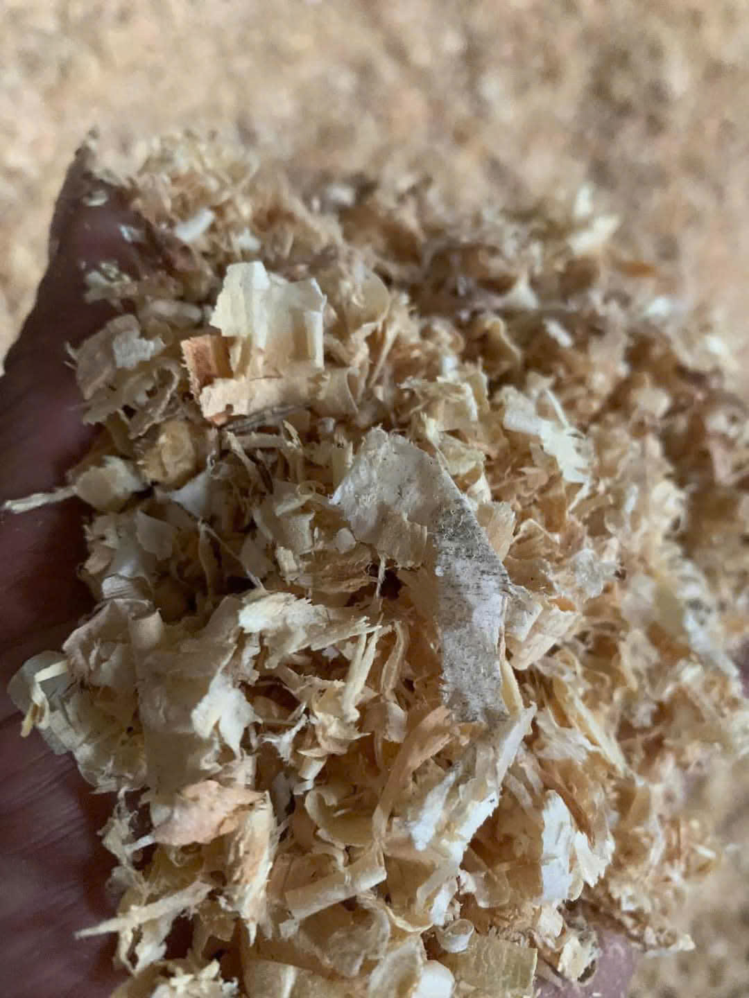 WOOD SHAVINGS